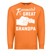 Carrot Promoted to Great Grandpa Premium Sweatshirt - PixelWave