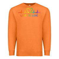 Carrot LGBT Love Rainbow Heartbeat Premium Sweatshirt - PixelWave