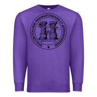 Purple Washington & Jefferson College Premium Sweatshirt - Craftify