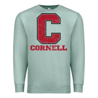 Seafoam cornell big red Premium Sweatshirt - Craftify