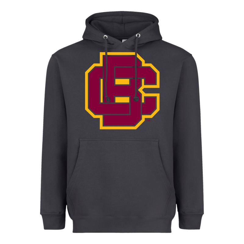 Bethune Cookman Heavyweight Hoodie by DesignPulse | Teevron