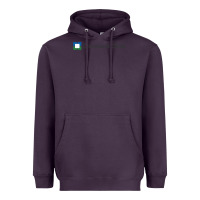 Plum Cleveland clinic Heavyweight Hoodie - DesignPulse