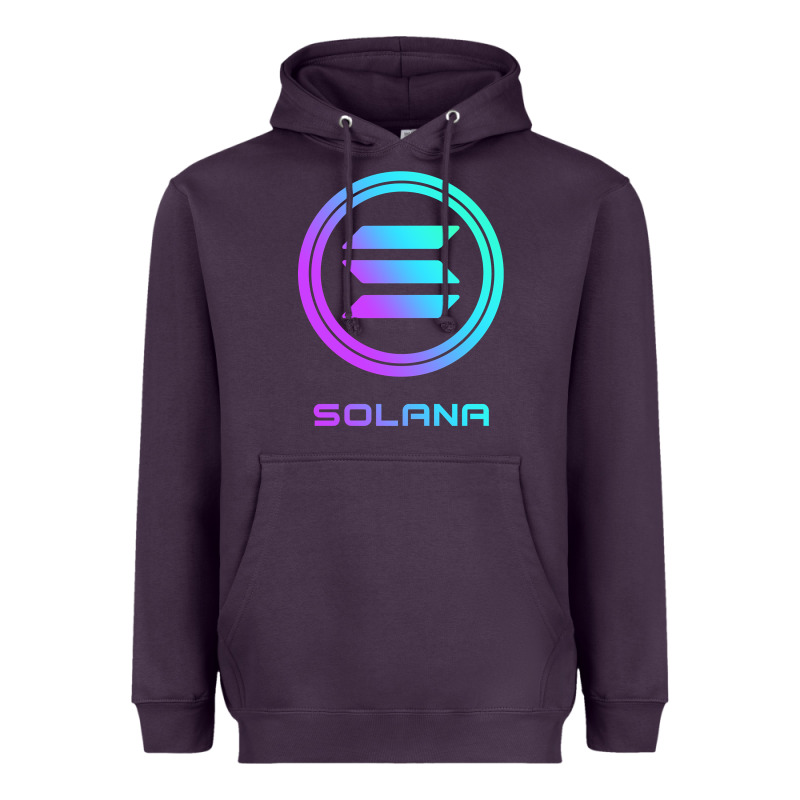 Solana Crypto Sol Coin Blockchain Decentralized Application Long Sleev Heavyweight Hoodie by DesignPulse | Teevron