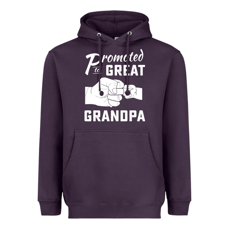 Promoted To Great Grandpa Heavyweight Hoodie by PixelWave | Teevron