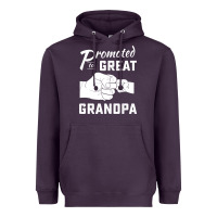 Plum Promoted to Great Grandpa Heavyweight Hoodie - PixelWave