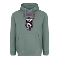 Sage Beartooths Heavyweight Hoodie - PixelWave