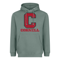 Sage cornell big red Heavyweight Hoodie - Craftify
