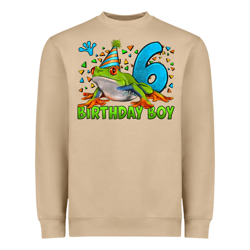 Birthday Boy Frog Age 6 Heavyweight Sweatshirt by LillyAllenDesigns | Teevron