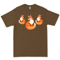 Cacao Three Little Foxes IN Fox Family I Gift Premium Tee - Bettercallsaul