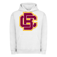Pigment Lunar Rock bethune cookman Urban Hoodie - DesignPulse