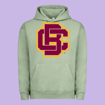 Bethune Cookman Urban Hoodie Designed By Designpulse