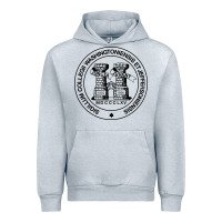 Heather Grey Washington & Jefferson College Urban Hoodie - Craftify