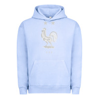 Pigment Grape Ice FFF Two Stars Urban Hoodie - Craftify