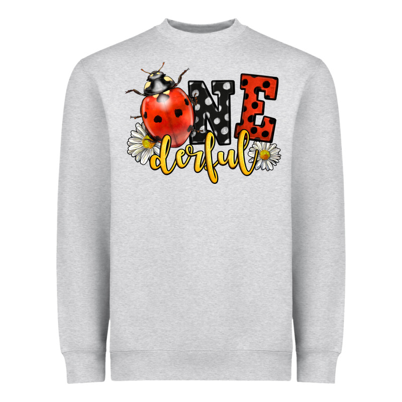 Onederful Wonderful Ladybug Heavyweight Sweatshirt by LillyAllenDesigns | Teevron