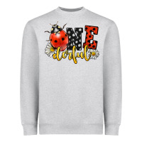 Heather Grey onederful wonderful ladybug Heavyweight Sweatshirt - LillyAllenDesigns