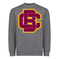Storm bethune cookman Heavyweight Sweatshirt - DesignPulse