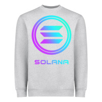 Heather Grey solana crypto sol coin blockchain decentralized application long sleev Heavyweight Sweatshirt - DesignPulse