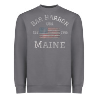 Storm Bar Harbor Maine USA American Flag Established ME Vintage Heavyweight Sweatshirt - PixelWave