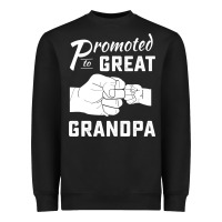 Black Promoted to Great Grandpa Heavyweight Sweatshirt - PixelWave