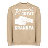 Mushroom Promoted to Great Grandpa Heavyweight Sweatshirt - PixelWave
