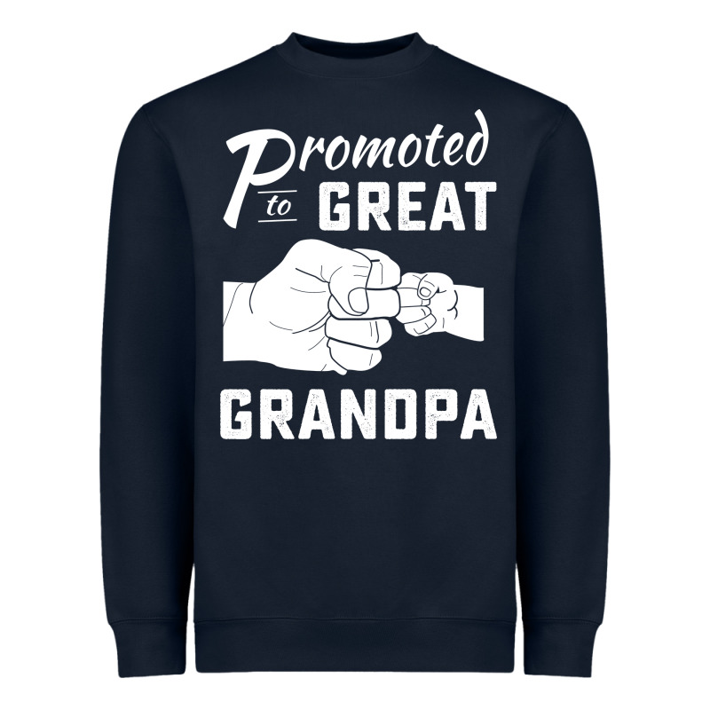 Promoted To Great Grandpa Heavyweight Sweatshirt by PixelWave | Teevron