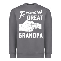 Storm Promoted to Great Grandpa Heavyweight Sweatshirt - PixelWave