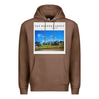 Chestnut Pat Metheny, Pat, Metheny, the Pat Metheny, Pat Metheny painting, Pat  Premium Hoodie - ArtChic