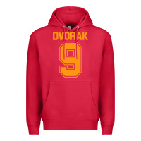Cardinal Dvorak  Ninth Symphony Premium Hoodie - ArtChic