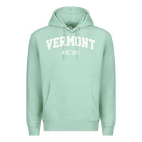 Seafoam vermont vintage state athletic style pullover hoodie Premium Hoodie - ArtChic