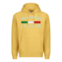 Antique Gold valle d'aosta italia italy region typography design Premium Hoodie - ArtChic