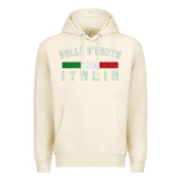 Tofu valle d'aosta italia italy region typography design Premium Hoodie - ArtChic