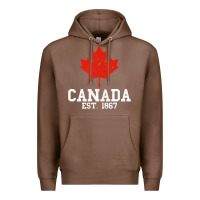 Chestnut vintage canada est.1867 maple leaf canadian flag r Premium Hoodie - ArtChic
