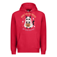 Cardinal halloween cat costume Premium Hoodie - StudioElite