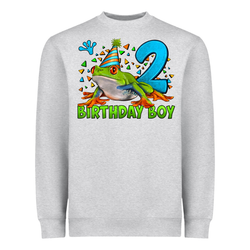 Birthday Boy Frog Age 2 Heavyweight Sweatshirt by LillyAllenDesigns | Teevron