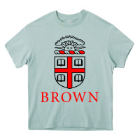 Arona brown university Heavy Core Tee - ArtChic