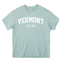 Arona vermont vintage state athletic style pullover hoodie Heavy Core Tee - ArtChic