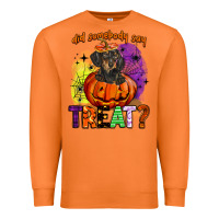 Carrot did somebody say treat Premium Sweatshirt - BarkalooDesign