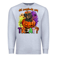 Heather Grey did somebody say treat Premium Sweatshirt - BarkalooDesign