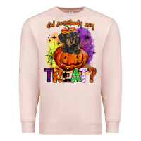 Pale Pink did somebody say treat Premium Sweatshirt - BarkalooDesign
