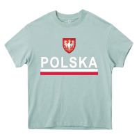 Arona Sporty Polska Flag And Emblem Polish Coat Of Arms Pullover Hoodie Heavy Core Tee - ArtChic