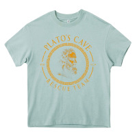 Arona platos cave rescue team ancient greek philosophy p Heavy Core Tee - ArtChic