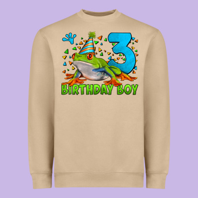 Birthday Boy Frog Age 3 Heavyweight Sweatshirt Designed By Lillyallendesigns