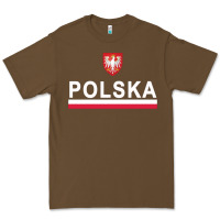 Cacao Sporty Polska Flag And Emblem Polish Coat Of Arms Pullover Hoodie Premium Tee - ArtChic