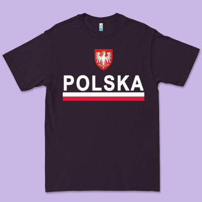 Sporty Polska Flag And Emblem Polish Coat Of Arms Pullover Hoodie Premium Tee Designed By Artchic