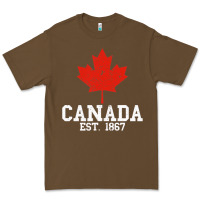 Cacao vintage canada est.1867 maple leaf canadian flag r Premium Tee - ArtChic
