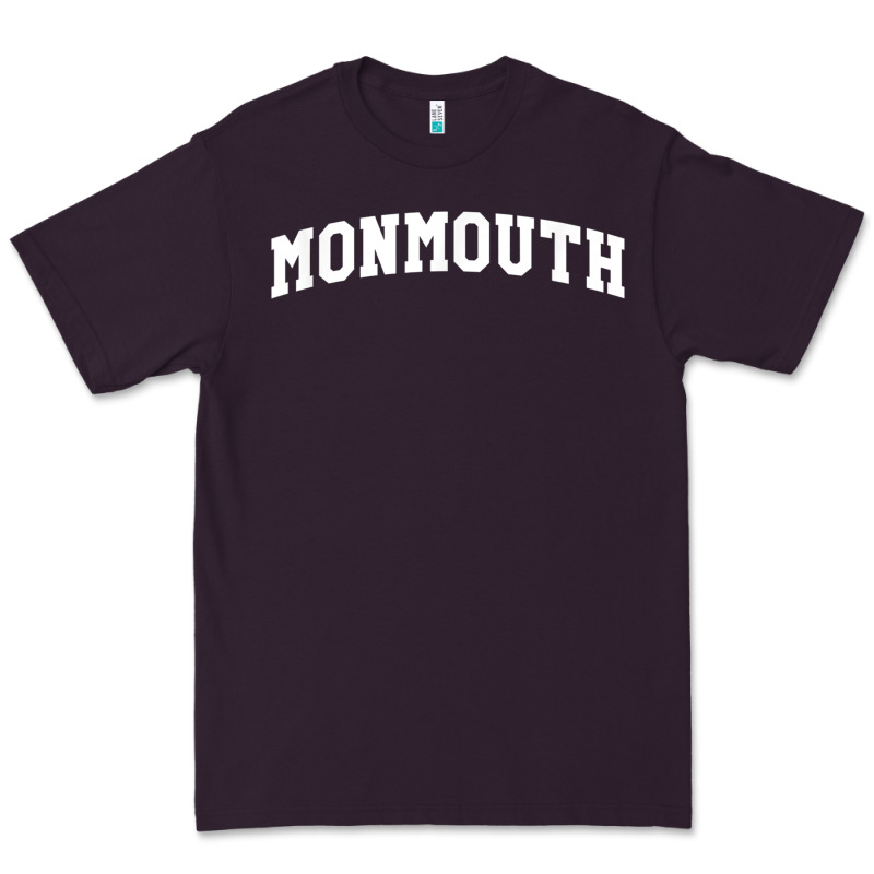 Monmouth Arch Retro University Style Premium Tee by ArtChic | Teevron