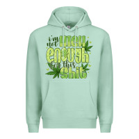 Seafoam i'm not high enough for Premium Hoodie - CowhideDigitalArt