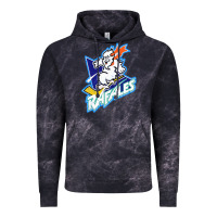 Quebec Rafales Vintage Hoodie | Teevron
