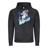 Vintage Black Quebec Rafales Vintage Hoodie - PixelFlow