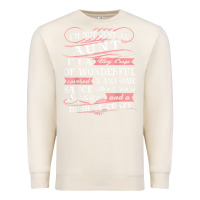 Sandshell Aunt I m A Big Cup Of Wonderful Funny Aunt Gift Tee Premium Sweatshirt - trangStudio